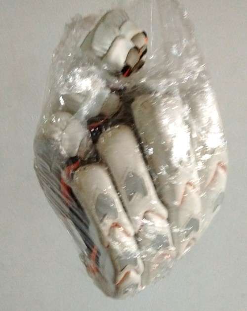 GM Cricket Gloves